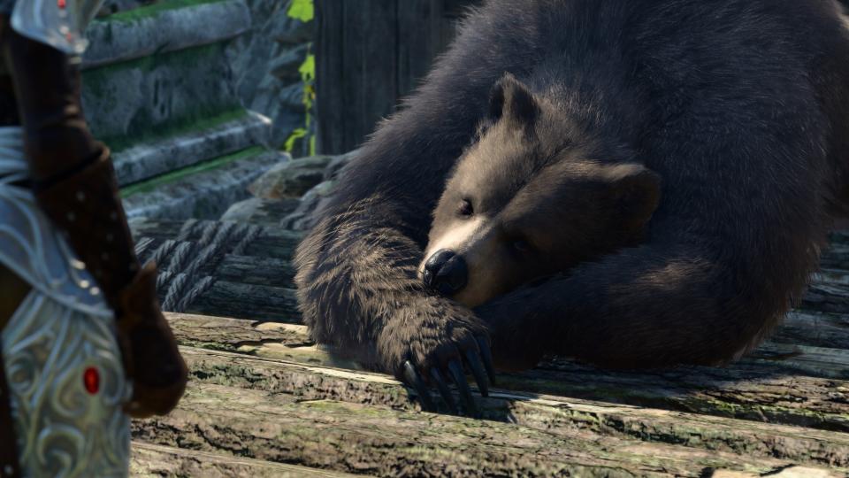 A bear sleeps peacefully