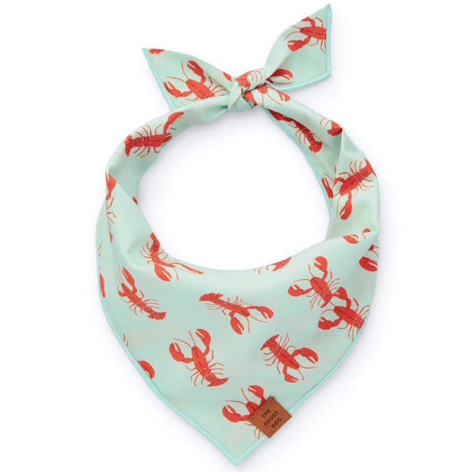 <p>Make sure your dad's pet is ready for every summer selfie with this playfully patterned bandana. </p> <p><strong>Buy it!</strong> Catch of the Day Dog Bandana, $26.00; <a href="https://www.thefoggydog.com/collections/dog-bandanas/products/catch-of-the-day-dog-bandana" rel="nofollow noopener" target="_blank" data-ylk="slk:TheFoggyDog.com;elm:context_link;itc:0;sec:content-canvas" class="link ">TheFoggyDog.com</a></p>