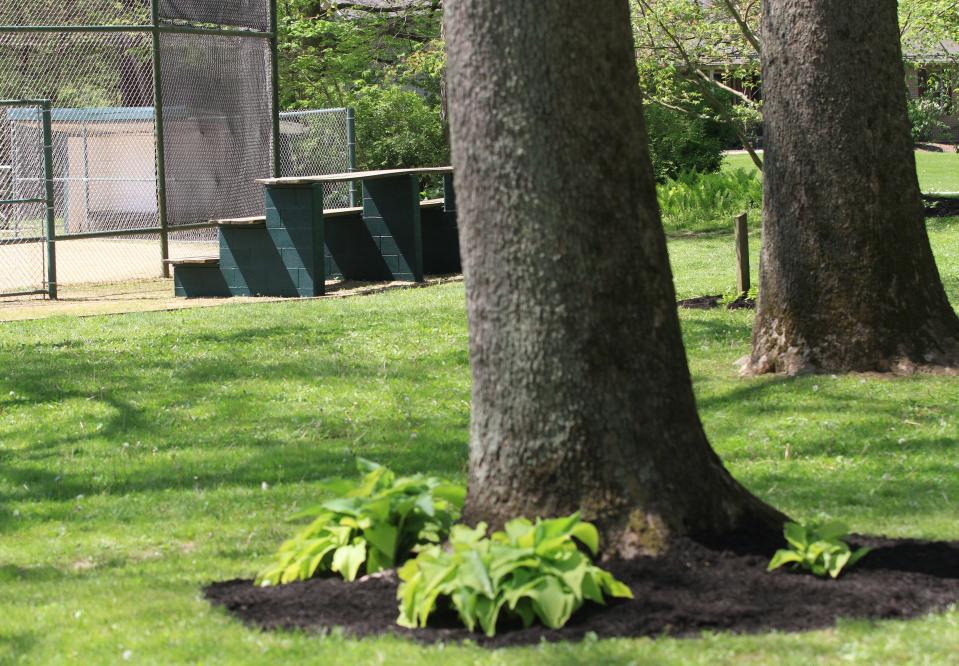 The Northridge National Honor Society spread mulch and painted dugouts and bleachers for its service project Monday at Parker Community Park in Alexandria.