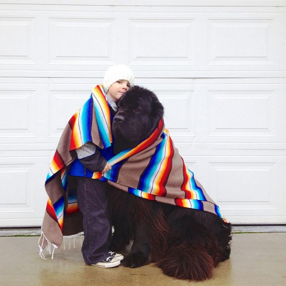 Hats off (or on) to Julian for sharing his blanket with his good buddy. Not that the furry beast needs it... (Photo: Stasha Becker/Rex Features)