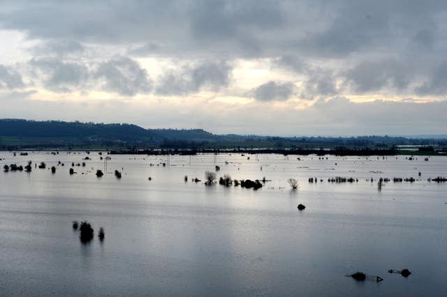 Flooded farmland 