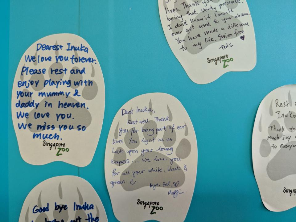 (Paw-shaped notes seen on Inuka’s tribute wall on 26 April, 2018, PHOTO: Wong Casandra/Yahoo News Singapore)