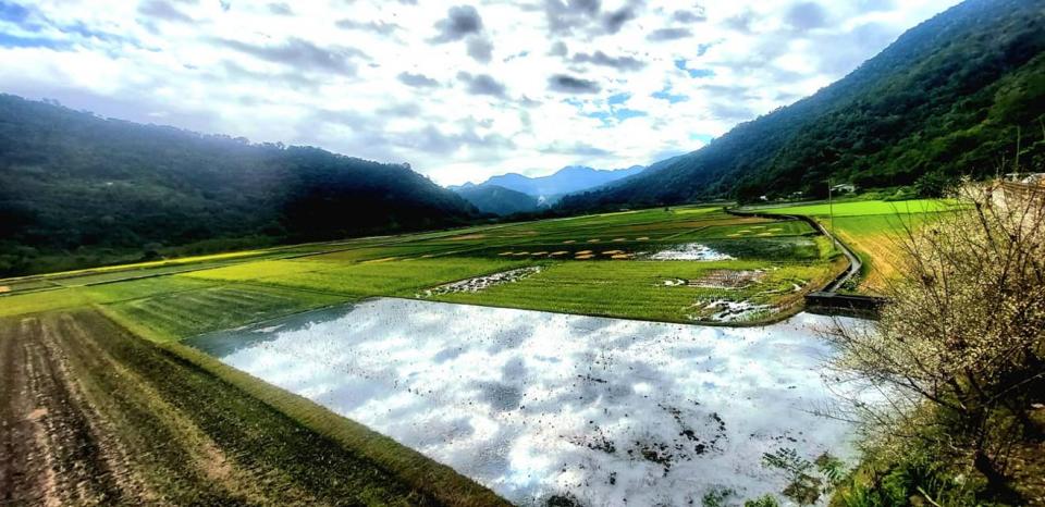 玉山國家公園轄內的南安部落有機稻田。   圖：取自玉山國家公園臉書