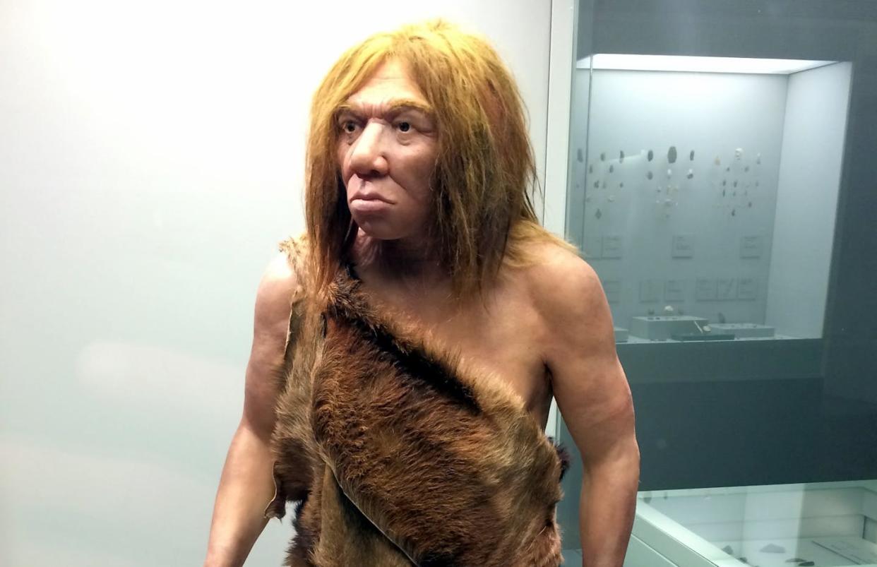 Reconstrucción del aspecto físico de un hombre de Neandertal. <a href="https://commons.wikimedia.org/wiki/File:Museo_arqueologico_Asturias_Neandertal_01.JPG" rel="nofollow noopener" target="_blank" data-ylk="slk:Hispalois / Museo Arqueológico de Asturias;elm:context_link;itc:0;sec:content-canvas" class="link "> Hispalois / Museo Arqueológico de Asturias</a>, <a href="http://creativecommons.org/licenses/by-sa/4.0/" rel="nofollow noopener" target="_blank" data-ylk="slk:CC BY-SA;elm:context_link;itc:0;sec:content-canvas" class="link ">CC BY-SA</a>