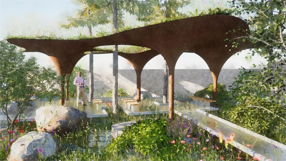 rhs chelsea flower show