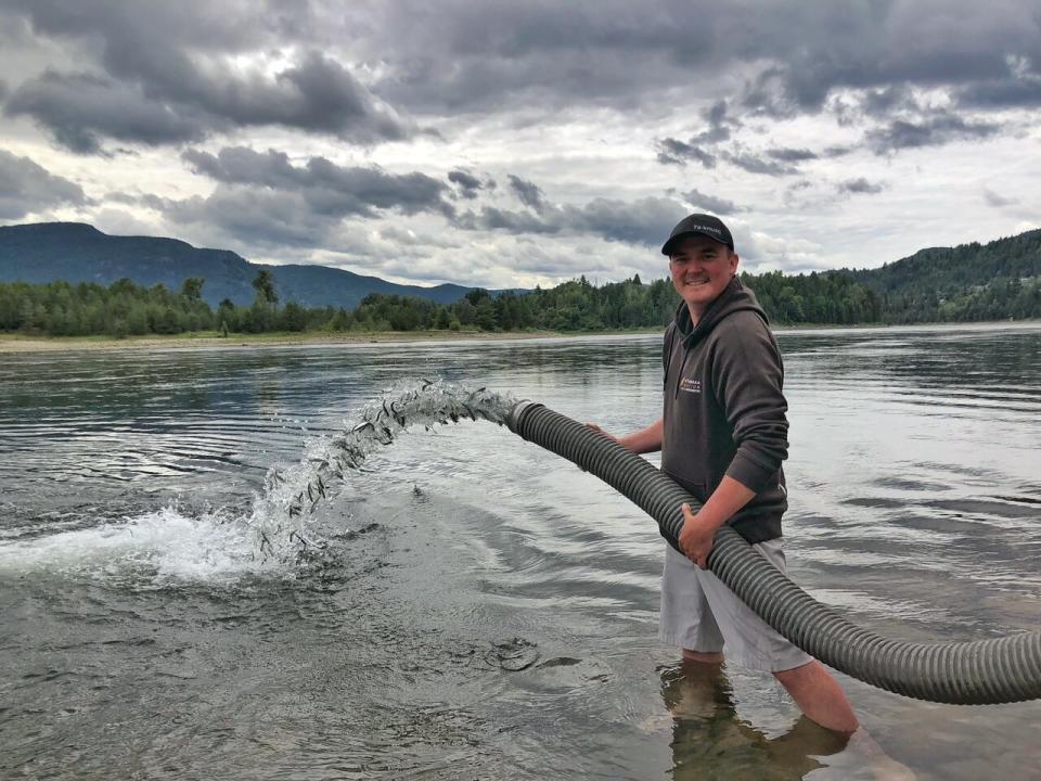 Lance Thomas, a technician with the Ktunaxa Nation’s ʔa·knusti Guardian program, releases tagged salmon fry into the upper Columbia River on June 19, 2023.