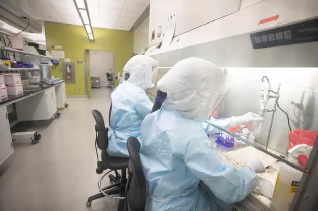 Scientists work in VIDO-InterVac's (Vaccine and Infectious Disease Organization-International Vaccine Centre) containment level 3 laboratory, where the organization is currently researching a vaccine for novel coronavirus, at the University of Saskatchewan in Saskatoon, Saskatchewan, Canada. (David Stobbe/VIDO-InterVac/University of Saskatchewan/Reuters - image credit)