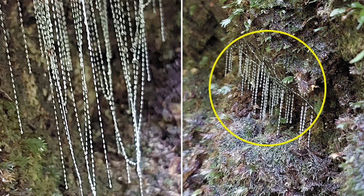 Hiker's 'beautiful find' in Aussie national park: 'Looks like diamonds'