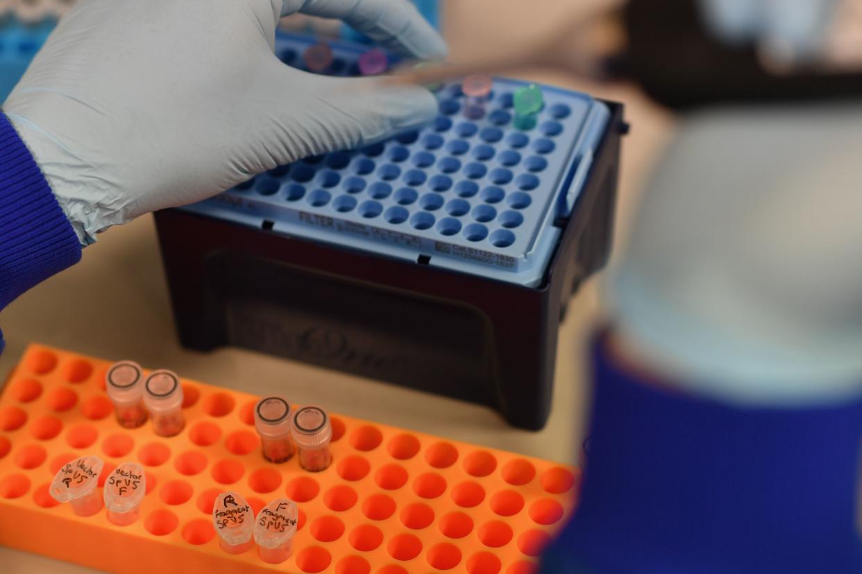 An employee works at the Stabilitech laboratory in Burgess Hill south east England, on May 15, 2020 where scientists are trying to develop an oral vaccine for the COVID-19 illness. - The scientists at Stabilitech are one of the teams attempting to develop a vaccine for COVID-19. Ingested in a capsule into the gut, Stabilitech's potential oral vaccine aims to prompt an immune response in mucosal cells in the respiratory system and elsewhere in the body. The firm believes that will be more effective in tackling respiratory illnesses like coronavirus. The British government is touting the country as a global leader in the big-money investment race to find a vaccine for COVID-19. (Photo by BEN STANSALL / AFP) / TO GO WITH AFP STORY BY JOE JACKSON (Photo by BEN STANSALL/AFP via Getty Images)