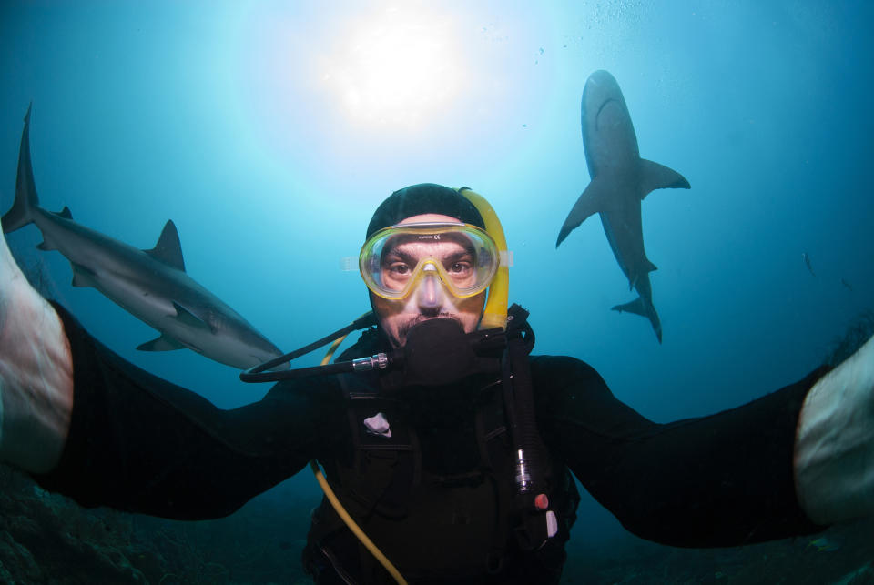 A scuba diver takes a selfie underwater, surrounded by two sharks swimming in the background. The diver is wearing a wetsuit and a scuba mask