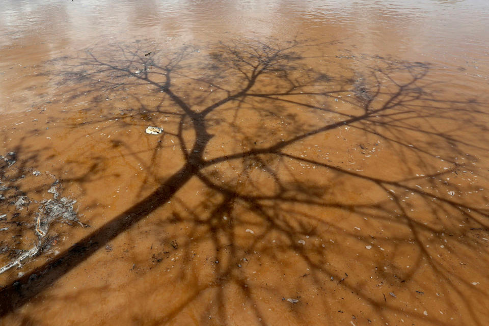 <p>The shadow of a tree is reflected on water in Pianco, Paraiba state, Brazil, Feb. 12, 2017. (Photo: Ueslei Marcelino/Reuters) </p>