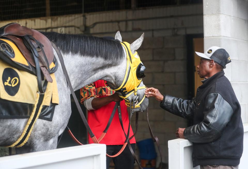 Trainer Larry Demeritte has his first ever Kentucky Derby entry with gray roan West Saratoga. Black trainers dominated the early days of the Kentucky Derby, winning seven of the first 17 from 1875-91. Demeritte will be just the second Black trainer in the race since 1951. The Bahamas native is now a Kentucky resident and American citizen.