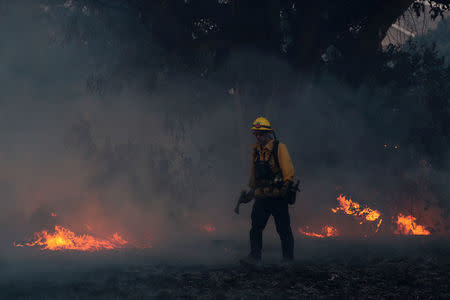 A firefighter works to put out hot spots on a fast moving wind driven wildfire in Orange, California, U.S., October 9, 2017. REUTERS/Mike Blake