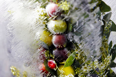 Frozen fruits and flowers are pictured in ice blocks during the unveiling of the Chinese automaker Geely's first model Lynk & Co in Berlin, Germany, October 20, 2016. REUTERS/Hannibal Hanschke