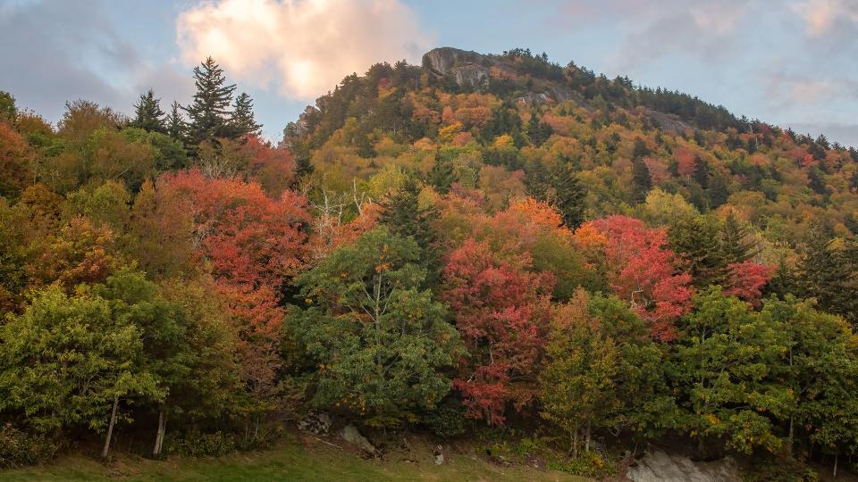 Oct. 7, 2023: One of the best places at Grandfather Mountain for spotting fall foliage right now is from the area in front of the Wilson Center for Nature Discovery. This view looking up toward Linville Peak showcases a variety of seasonal colors contrasted with evergreen trees.