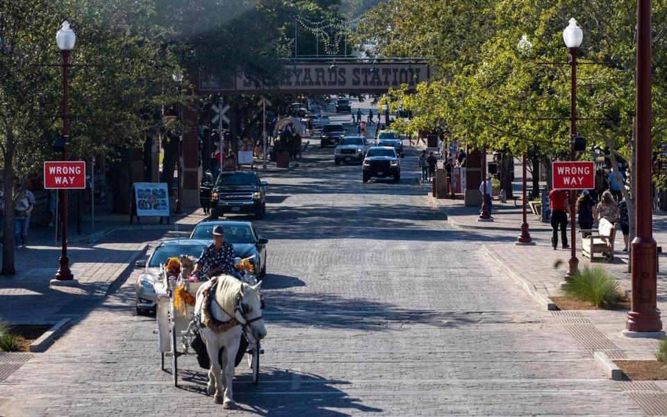 A horse carriage rides through the Stockyards among traffic in Fort Worth on Friday, Oct. 14, 2022.