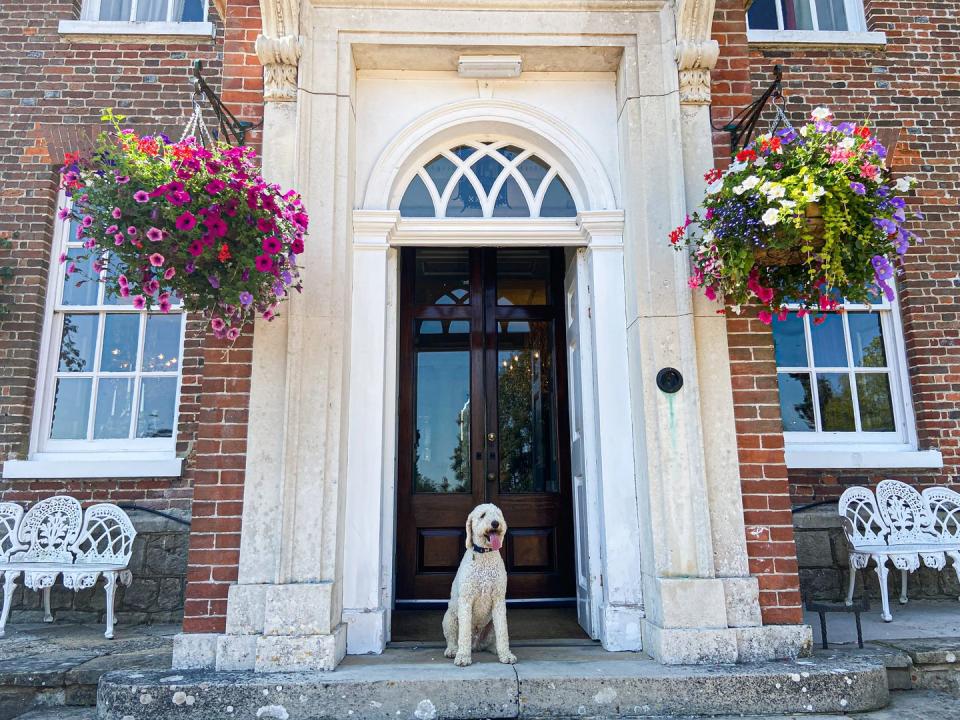 dog friendly hotels uk