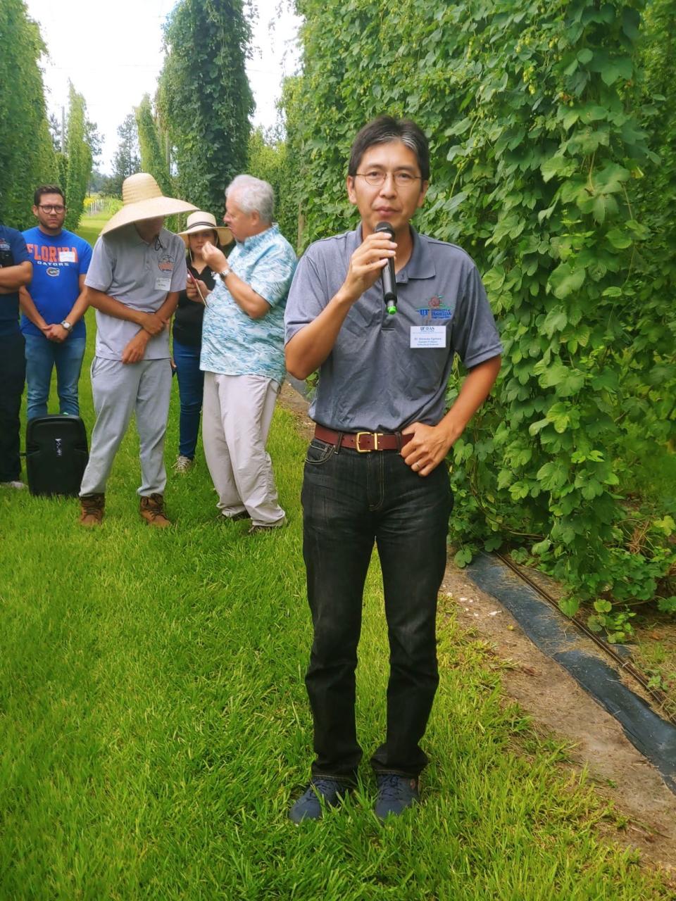 University of Florida researcher Dr. Shinsuke Agehara in a field of Florida-grown hops.