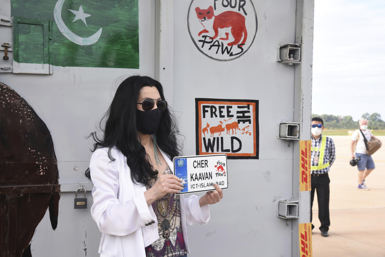 Cher holds a welcoming sign for a rescued elephant named Kaavan arriving at the airport, Monday, Nov. 30, 2020, in Siem Reap, Cambodia. (Pool Photo via AP)