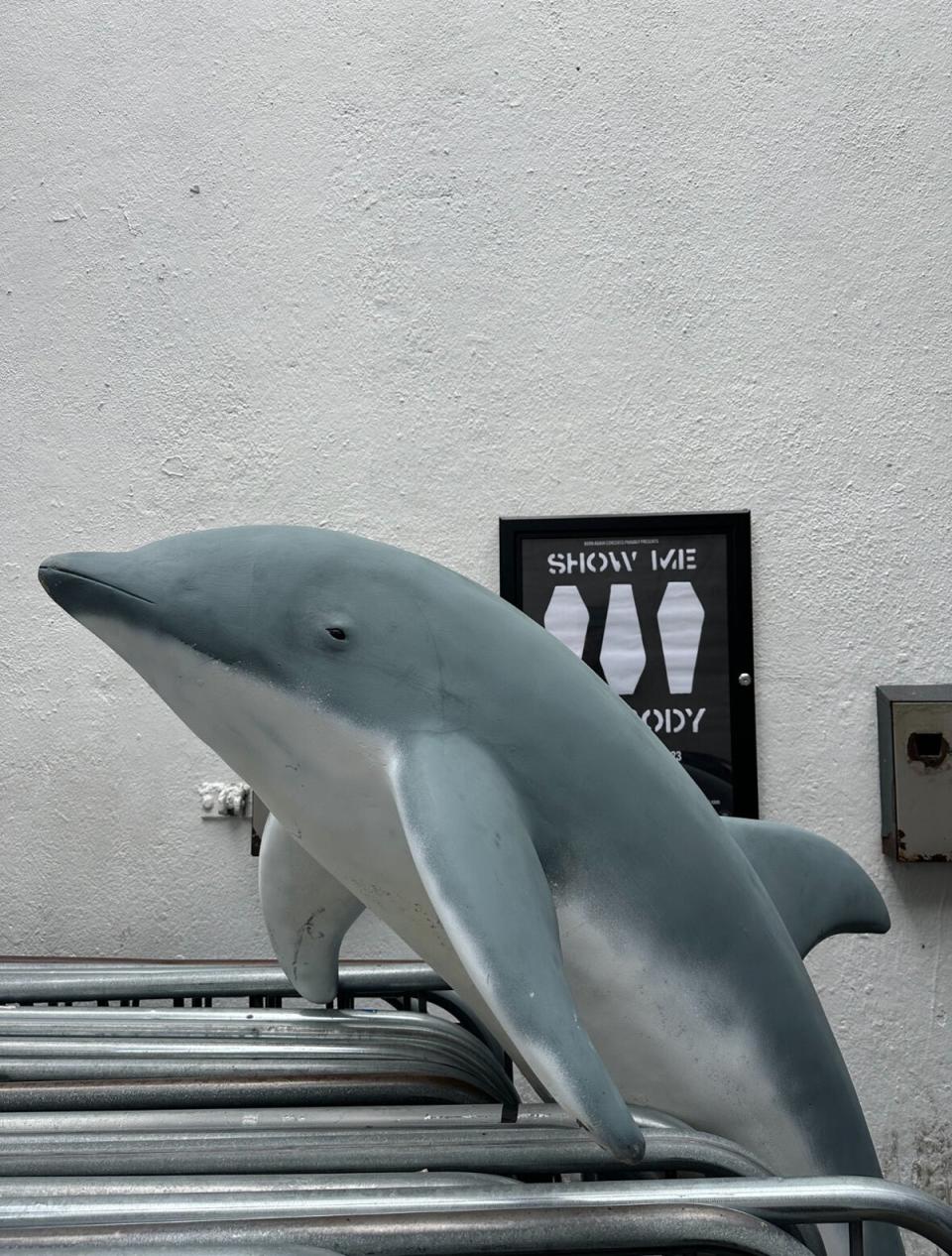 One reveller may be feeling lost without their life-sized fiberglass dolphin (PR Handout)