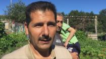 Hope Blooms shares garden plots with new neighbours from Syria