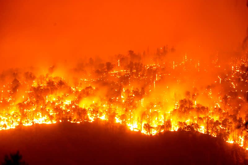 FILE PHOTO: Windy Fire threatens Sequoia National Park in California