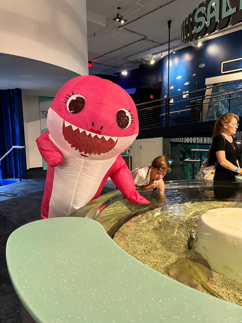 Princess Peach, Discovery World's shark mascot, welcomed visitors to the science museum in July following the introduction of new bamboo sharks into Discovery World's saltwater touch tank.