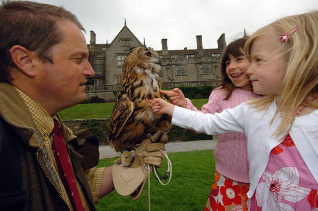 Children meeting owl