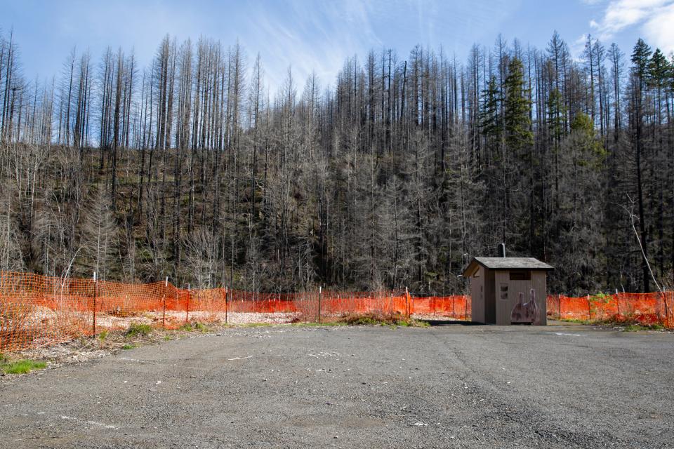 Scars from the 2020 Labor Day wildfires are seen at Bear Creek Park on April 12, 2024.
