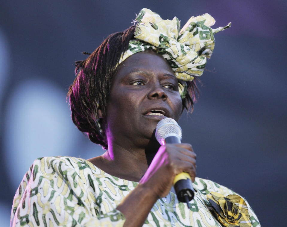 Activist Wangari Muta Maathai was the first African woman to receive the Nobel Peace Prize for her contribution to sustainable development, democracy and peace, including founding the Green Belt movement