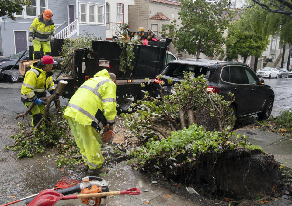 Staff members in high visibility wear haul branches onto a truck.