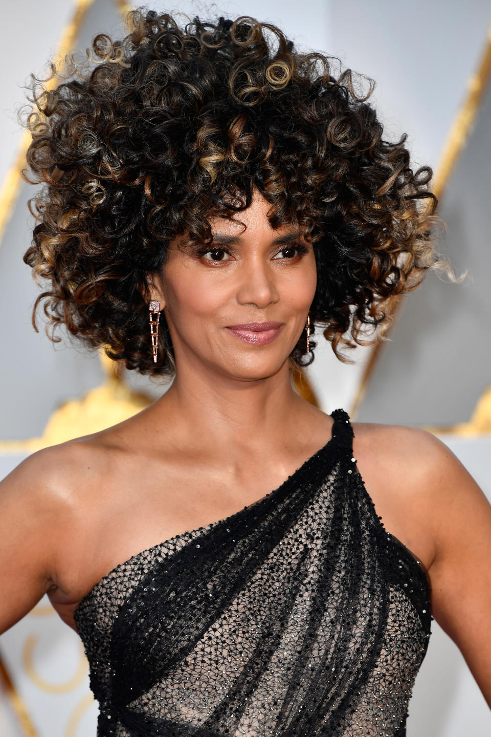 HOLLYWOOD, CA - FEBRUARY 26:  Halle Berry attends the 89th Annual Academy Awards at Hollywood & Highland Center on February 26, 2017 in Hollywood, California.  (Photo by Frazer Harrison/Getty Images)