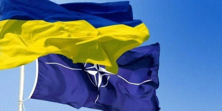 Ukraine wants to be invited to join NATO at the Vilnius summit, but not all Western countries support this idea