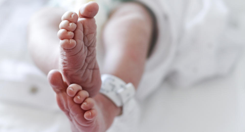 A close up shot of a baby in hospital with a tag around its foot.