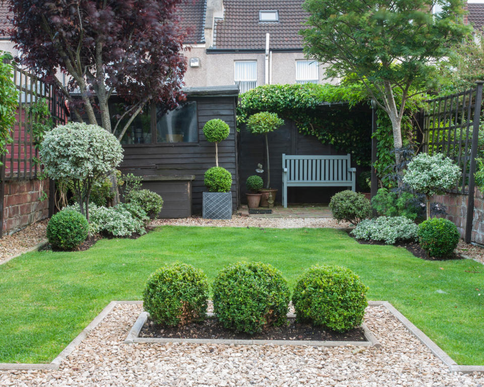 smart lawn with topiary in walled urban garden