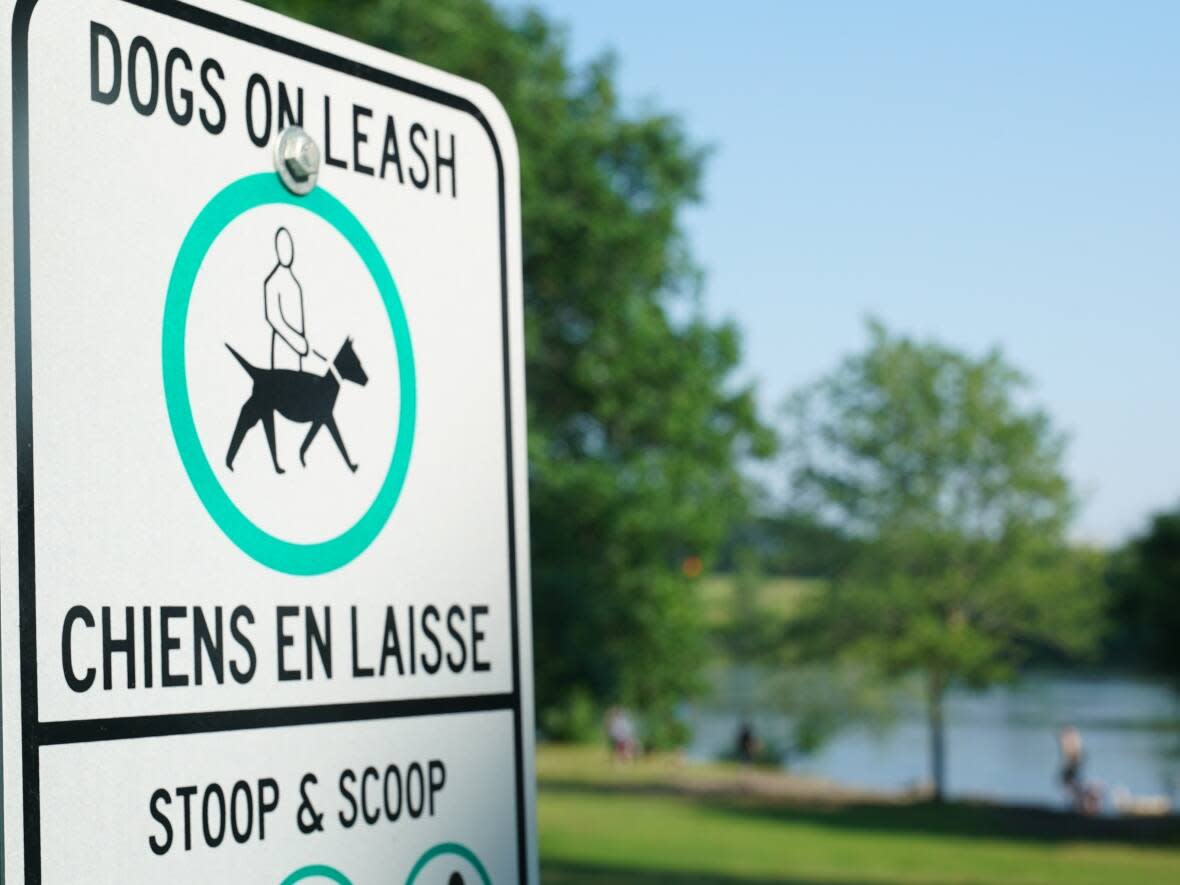 Some Ottawa city councillors would like to see greater enforcement of rules requiring dogs remain on their leashes. (Matthew Kupfer/CBC - image credit)