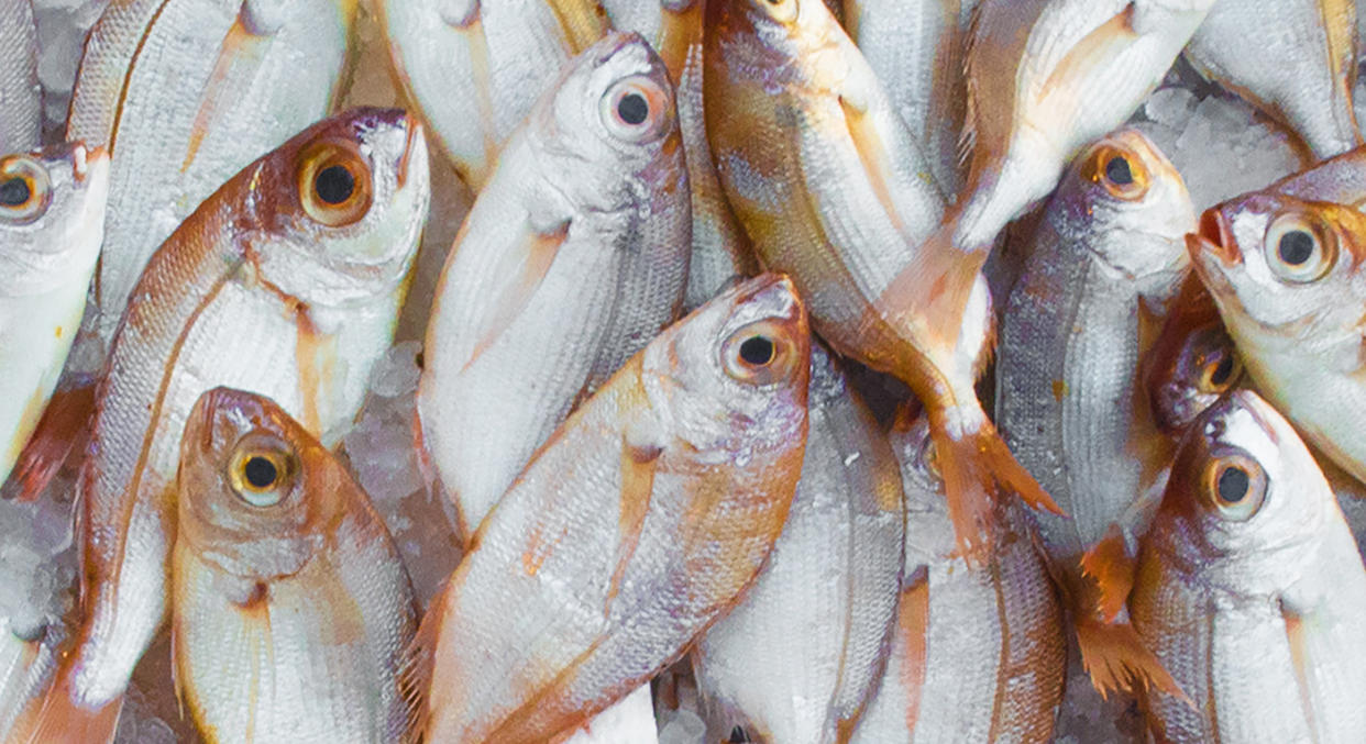 A boy died of an extreme reaction to fish. [Photo: Pexels]