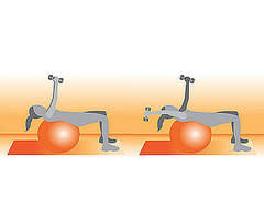 Exercise Ball Reach With Weights