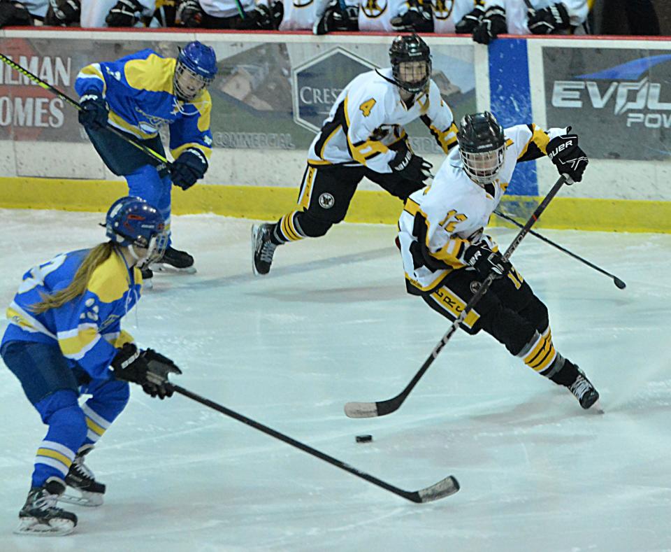 Watertown's Janel Lloyd tries to avoid Rachel Siefken of the Aberdeen Cougars while advancing the puck during their South Dakota Amateur Hockey Association varsity girls' game on Friday, Jan. 26, 2024. Aberdeen won 6-0. Looking on are Aberdeen's Addyson Keller and Watertown's Harper Hendricks.