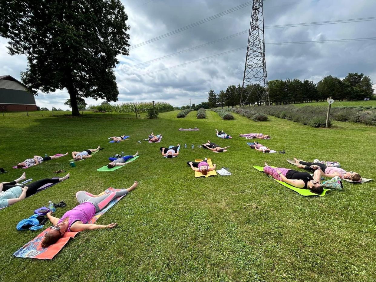 A growing number of students have found lavender yoga a great way to exercise.