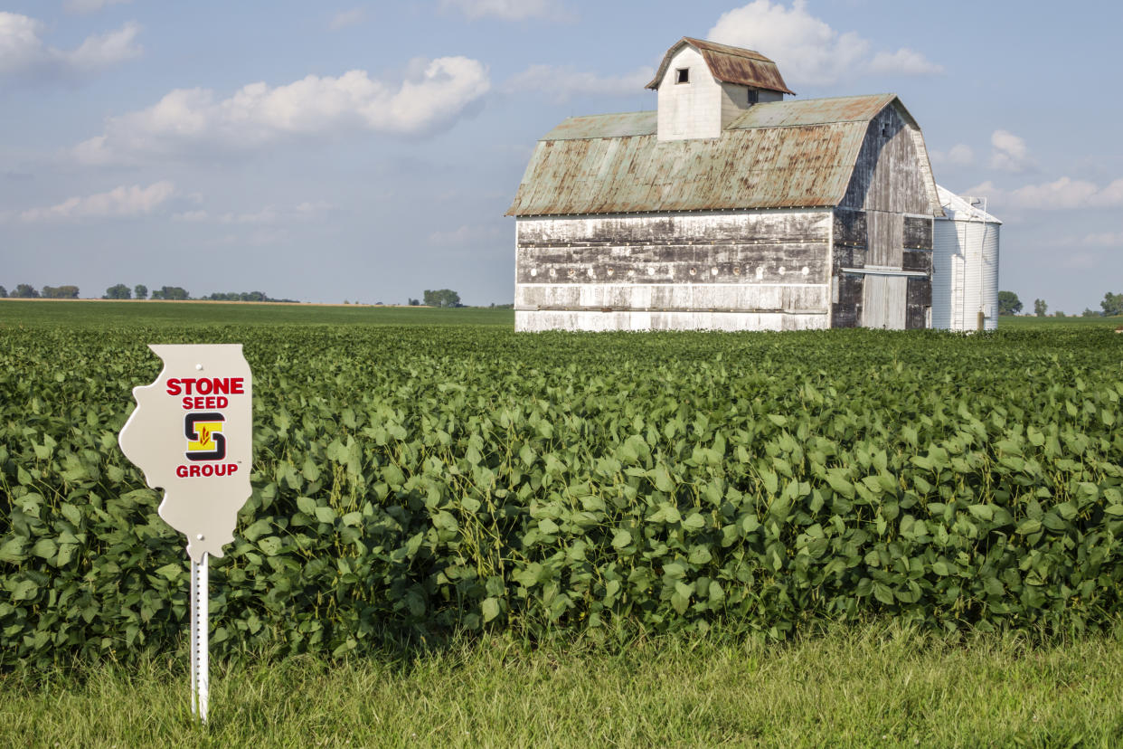 Tuscola barn, soybean seed marker sign. (Photo by: Jeffrey Greenberg/Universal Images Group via Getty Images)