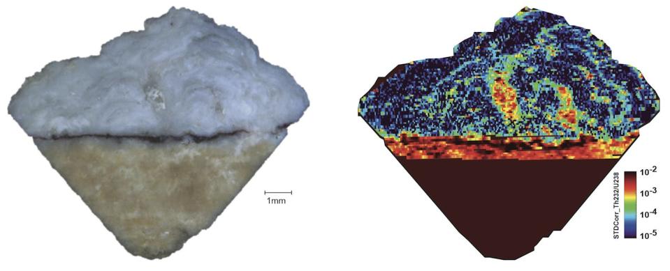 Example of sample cross section showing the pigment layer and overlying calcium carbonate layers, left, and equivalent U-series isotopes map, right. Author supplied.