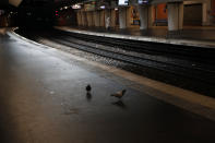 Pigeons perch on the empty platforms of a RER subway subway, in Paris, Sunday, Dec. 8, 2019 on the fourth day of nationwide strikes that disrupted weekend travel around France. (AP Photo/Francois Mori)