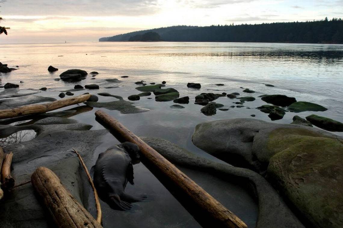 A beach where multiple severed feet have washed ashore, on Gabriola Island, British Colombia, Canada, Feb. 23, 2008.