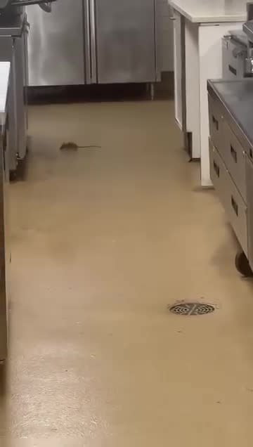 Rodents at the Red River Dining Facility on Barksdale Air Force Base