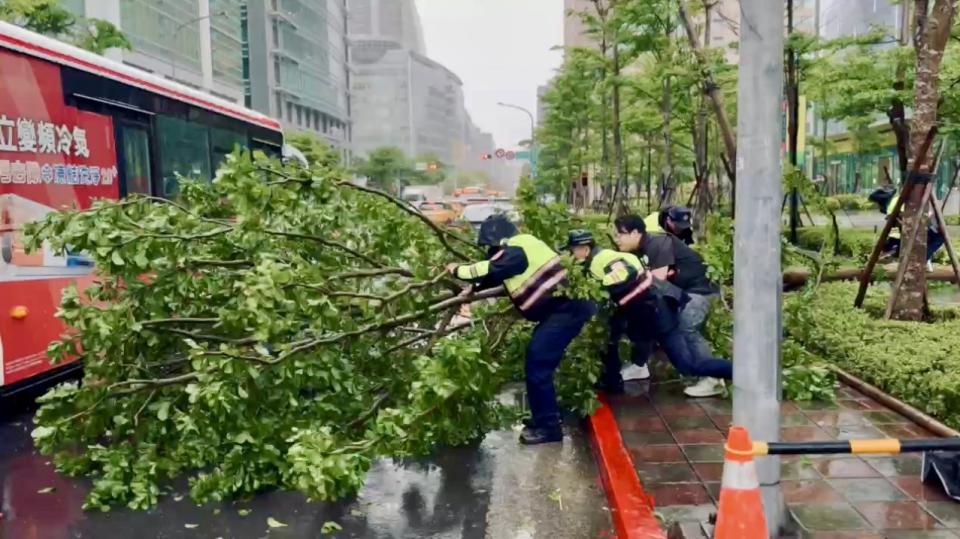 多名員警合力將大樹拉動清出一個車道。（圖／翻攝畫面）