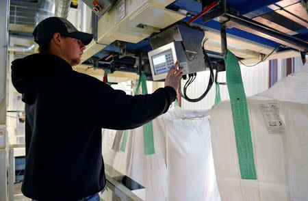 A worker fills bulk tote bags with processed soybeans at Peterson Farms Seed facility in Fargo, North Dakota, U.S., December 6, 2017. Photo taken December 6, 2017. REUTERS/Dan Koeck