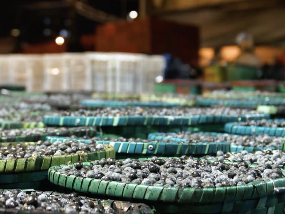 Baskets of açaí sit in a market at night.