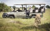 Mombo Camp and Little Mombo hotel, Moremi Game Reserve, Botswana 