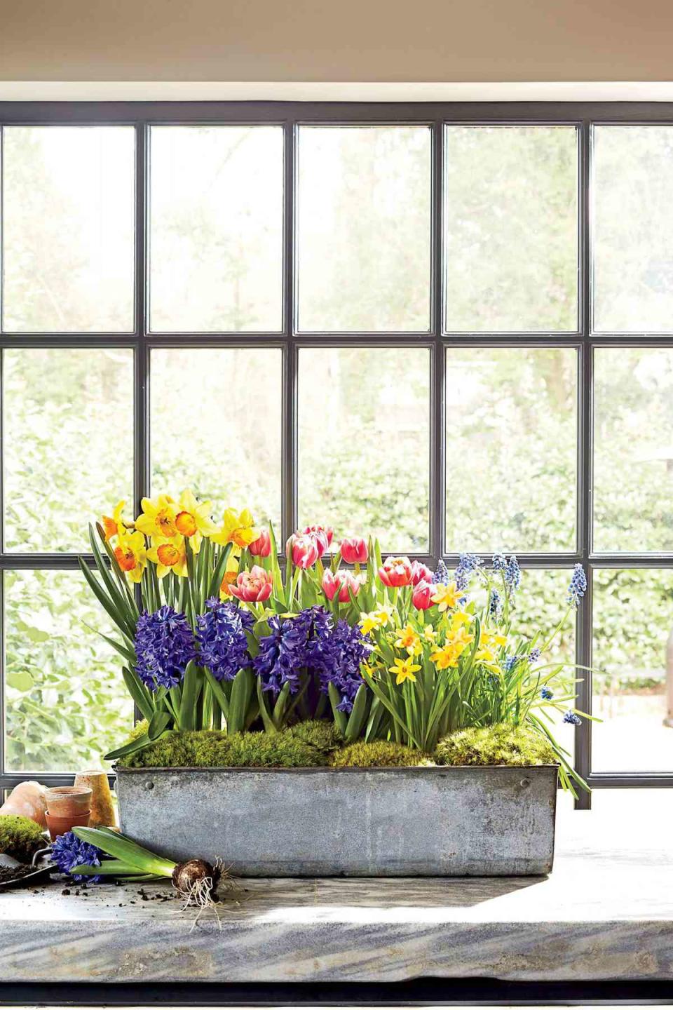 Bring Spring Indoors